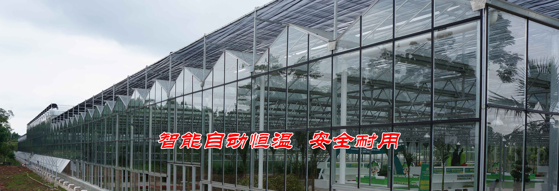 高效模塑泡沫催化劑，賦予制品優異的拉伸強度和撕裂強度