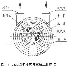 新癸酸鉍催化劑在聚氨酯彈性體和澆注體系中的應(yīng)用與性能分析